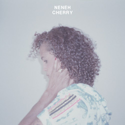 Neneh Cherry, Blank Project